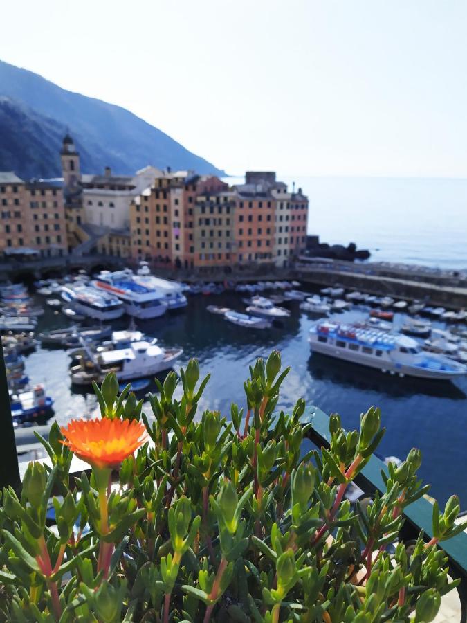 La Mansarda Sul Porto Pensión Camogli